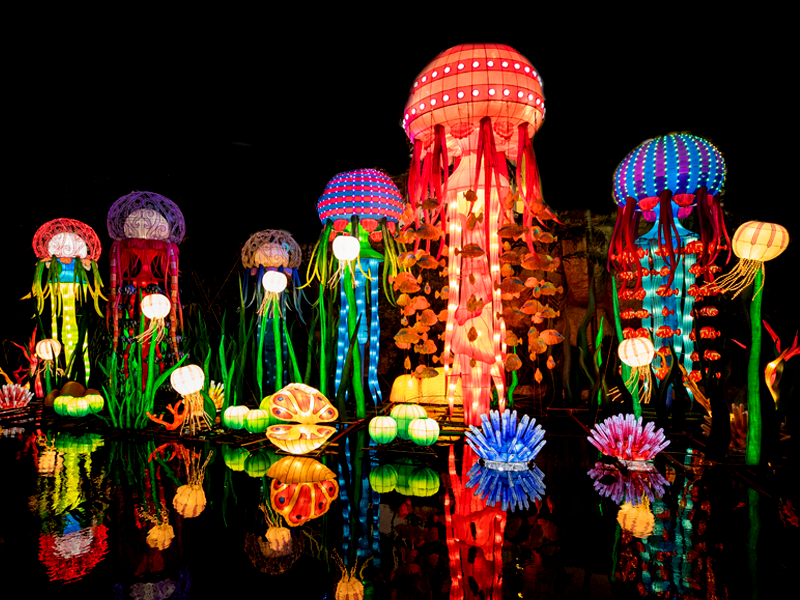 Land of Lights Festival Land of Lights Festival