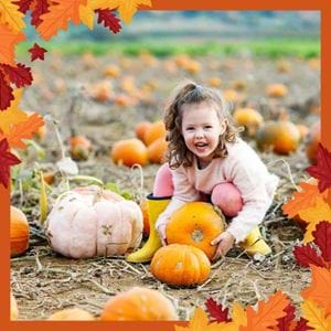 Pumpkin Picking at Rother Valley