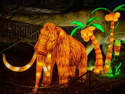 Images of Land of Lights Lantern Festival in Milton Keynes