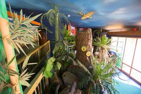 Reptiles, Bugs, Dinosaur and Farm Park Attraction