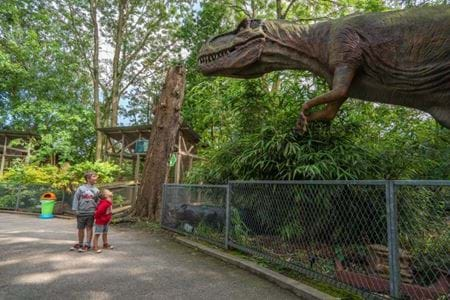 Trex Trek Package, Animatronic Dinosaurs, Gulliver's World Dinosaur Experience