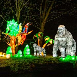 Lantern Festival, Milton Keynes. Light Installations. 